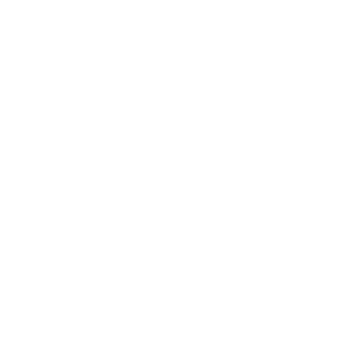 5--Social-Security-Organization